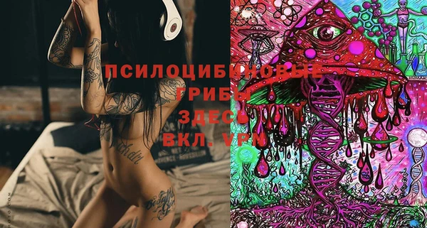 каннабис Алексеевка