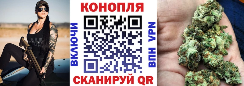 Каннабис OG Kush Бологое